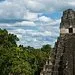 Temple IV above the jungle canopy at Tikal on a fly-in day trip from Antigua